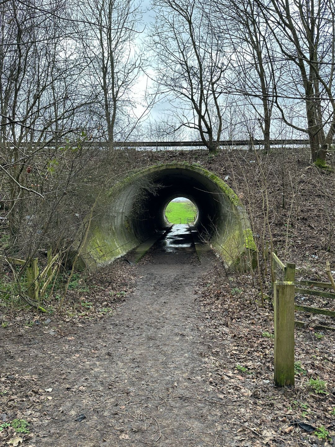 tunnel
